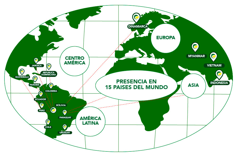 Distribución Selecto