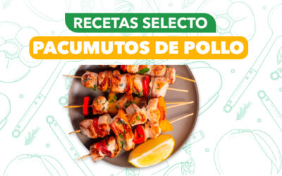 Pacumutos de Pollo con Verduras